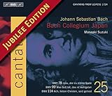 Bach: Cantatas, Vol. 25