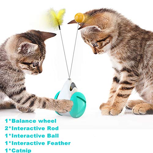 Interactive Cat Chasing Toys for Indoor Cats, Kitten Chaser Toys with