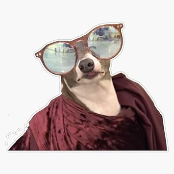 Amazon Com Kermit Leisuring Jenna Marbles Sticker Vinyl Waterproof Sticker Decal Car Laptop Wall Window Bumper Sticker 5 Automotive