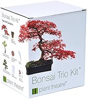 Plant Theatre Bonsai Trio Kit