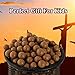 TOPRADE Brown Color Wooden Hunting Slingshot with Cotton Ammo for Catapult Game,Hunting-for Kids Children Adults (Black)