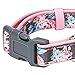 Blueberry Pet 6 Patterns Soft & Comfy Welcoming Spring Rose Flower Prints Girly Padded Dog Collar, Small, Neck 12