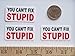 3 - You Cant Fix Stupid Hard Hat/Helmet Stickers 1” x 2”