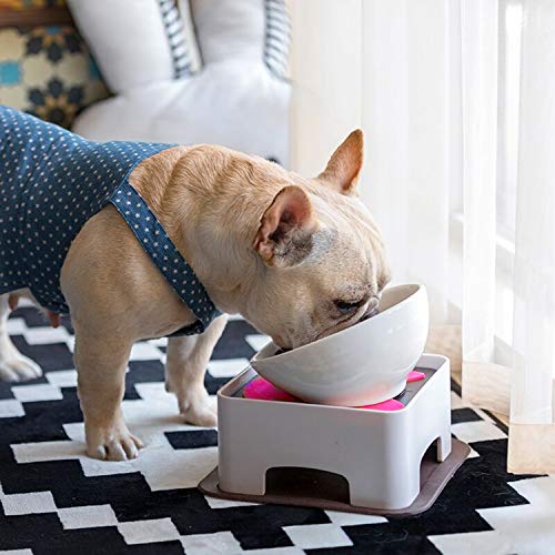 bulldog feeding bowl