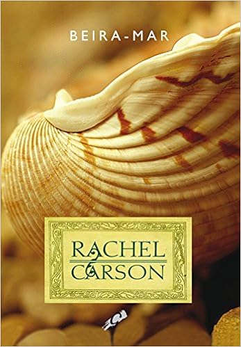 Download Beira mar moveis costeira For Free