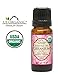 US Organic 100% Pure Rose Geranium Essential Oil (Sourced from South Africa) - USDA Certified Organic, Steam Distilled (10 ml)