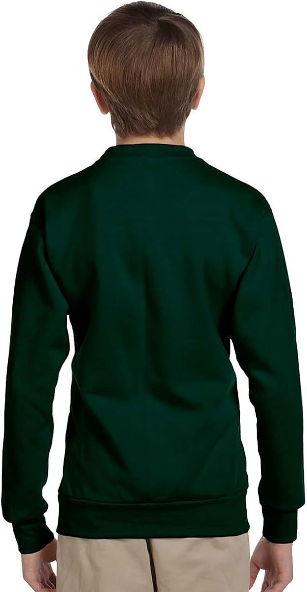 Hanes Youth ComfortBlend EcoSmart Crewneck Sweatshirt: Clothing