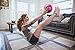 Live Infinitely Professional Grade 9 Inch Anti-Burst Mini Pilates Ball for Home Exercise, Balance Training, Yoga & Barre Workout – Includes Hand Pump, Needle Valve & Mesh Carrying Bag (Pink)