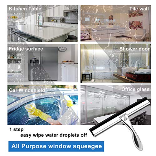 ALITA Bathroom Shower Window Squeegee - Deluxe Cleaning Tool for Mirror/Glass/Car Windshield/Kitchen, Stainless Steel, All Purpose Squeegee Wiper with Replacement Blade and Hook, 10 Inch