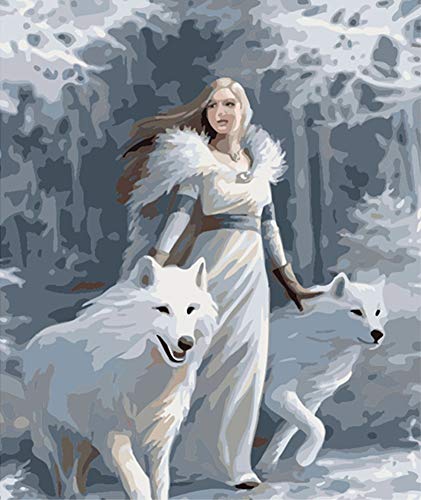 ABEUTY DIY Paint by Numbers for Adults Beginner - Girl and Wolves 16x20 inches Number Painting Anti Stress Toys (No Frame)