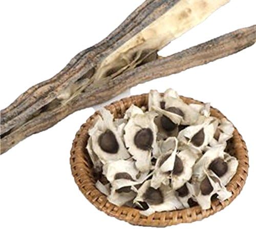 Tianfuheng 50 pcs Organic Moringa Oleifera Seeds, wholesale Drumstick Tree seed four seasons Brand New !