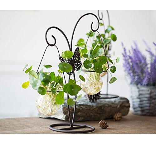 JSFQ Jarrón Decorativo florero Planta Botella de Vidrio ...