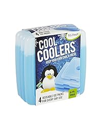 Paquete de placas refrigerantes congeladas Fit & F