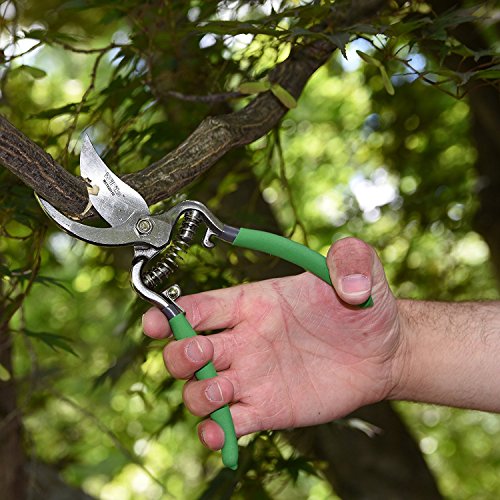 image for WilFiks Garden Pruning Shears - 8