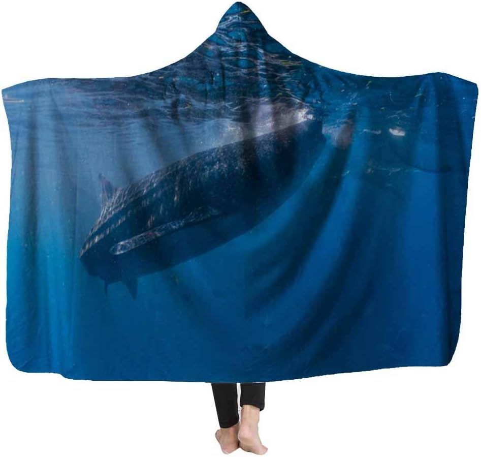 Capsceoll Kids' Blankets and Throw Blanket,Whale Shark Watching in Closeup Cebu Fed Krill 60X80 Inches Fleece Plush for Girls Boys Kids Blanket for Home