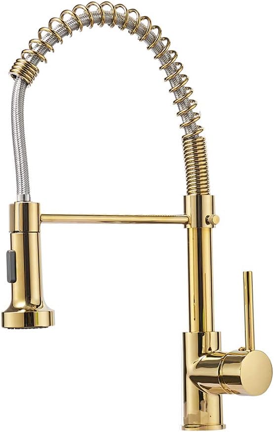 Best Kitchen Faucets Gold