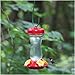 Perky-Pet 131TF 16-Ounce Glass Top Fill Hummingbird Feeder, Red