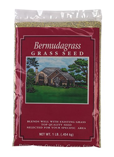X-Seed Unhulled Bermuda Grass Plant, 1 lb,