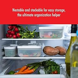 ZWILLING Fresh & Save Plastic Lunch Box, Airtight