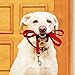 Illumifun LED Dog Leash, USB Rechargeable Light Up Dog Lead, 47.2inch Nylon Glowing Pet Leash for Your Night Dog Walking (RedⅠ)