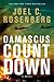 Damascus Countdown: A David Shirazi Series Political and Military Action Thriller (Book 3)