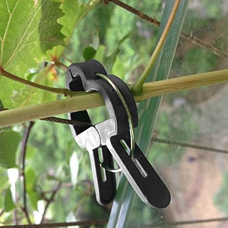 Schone Products (UK) Planta de jardín & flor clips-clamps a apoyo ...