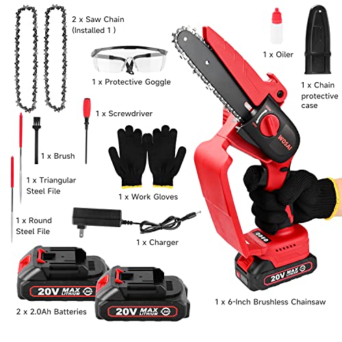 6 Inch Mini Chainsaw Cordless, Chain Saws with 800W Brushless Motor & 2x 2.0Ah Batteries, Portable Handheld Small Chainsaw with 2 Chains, Security Lock, for Wood Cutting Tree Trimming Garden