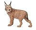 CollectA Wildlife Lynx Toy Figure - Authentic Hand Painted Model