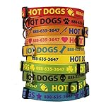 Personalized Dog Collar with Custom Hi-Def Text and Art, An Embroidered Dog Collar Alternative - Available in 5 Sizes
