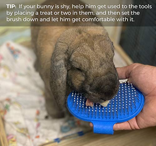 4 Rabbit+Grooming+Brush+Remover+Guinea