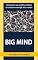 Livro Big Mind: Joining the real and the artificial to create increasingly wise robots
