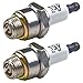 Briggs & Stratton 796112-2pk Spark Plug (2 Pack) Replaces J19LM, RJ19LM, 802592, 5095K primary