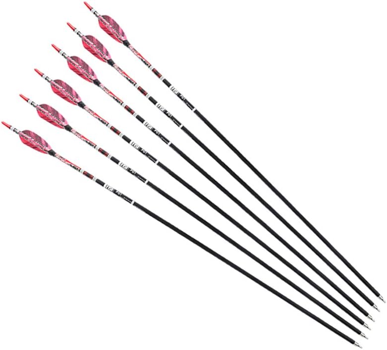 PG1ARCHERY 30 Inch Archery Targeting Arrows Carbon Practice Hunting Arrow with 3" Turkey Feathers Fletching Replacement Tips for Recurve & Compound Bow, 6 Pack Purple : Sports & Outdoors