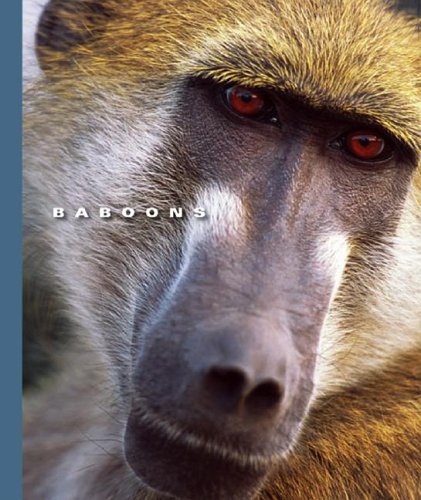 Baboons (World of Mammals (Childs World))