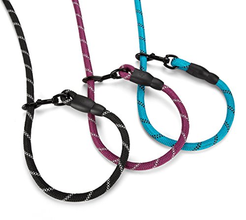 image for JBYAMUS 5 FT Strong Dog Leash with Comfortable Padded Handle and Highl