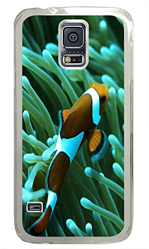 Samsung Galaxy S5 pretty case Clownfish 03 PC Transparent Custom Samsung Galaxy S5 Case Cover