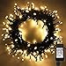 100-1000 LED Christmas Lights, Low Voltage Fairy String Lights with 8 Modes, Ideal for Xmax Tree, Garden, Home, Party, Halloween Festival Deco (Warm White, 500 LEDs)