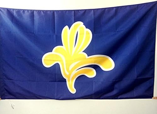 AZ FLAG, Brussels-Capital Region Flag, 2x3 Ft, Bruxelles-Capitale Banner with Sleeve, 100% Polyester, Fade Resistant