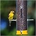 Wagner's 62051 Nyjer Seed Wild Bird Food, 5-Pound Bag