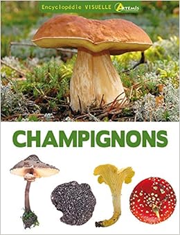 Amazon Fr Encyclopedie Visuelle Des Champignons Lamaison Jean Louis Polese Jean Marie Livres