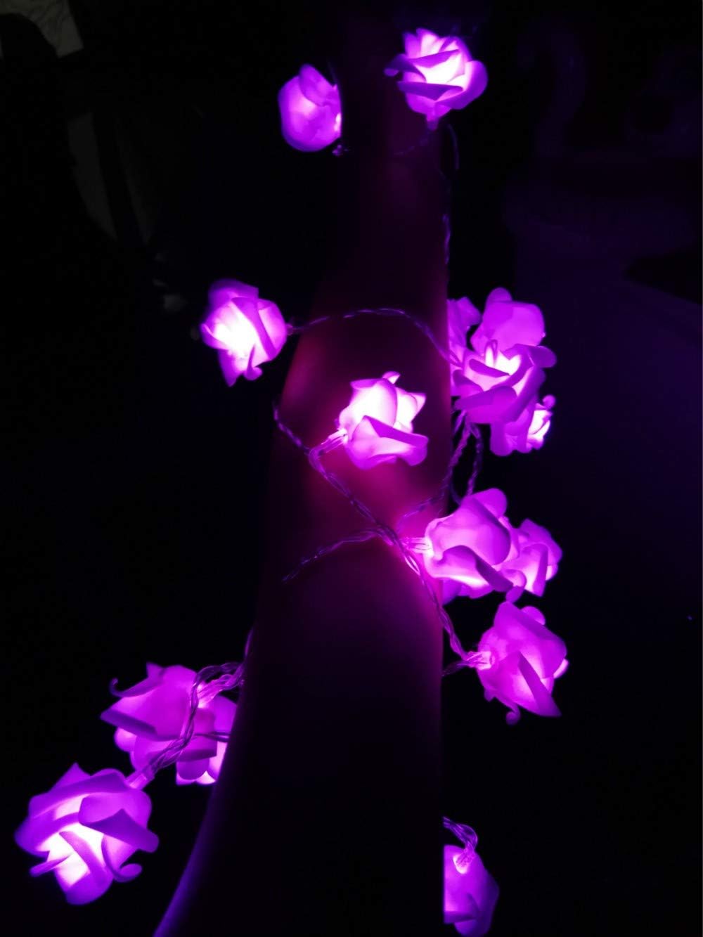 Fantasee LED Rose Flower String Lights Battery Operated - Image 3