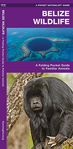 Download Belize Wildlife: An Introduction to Familiar Species (A Pocket Naturalist Guide) Download Belize Wildlife: An Introduction to Familiar Species (A Pocket Naturalist Guide)