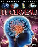 Le cerveau by