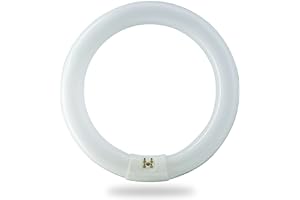 BULBMASTER FC8T9/D 22 Watts 8 Inch Round T9 Fluorescent Circular Light Bulb, Daylight 6500K, FC8T9 980 Lumens G10Q 4-Pin Base 22W Circline Ceiling Lights
