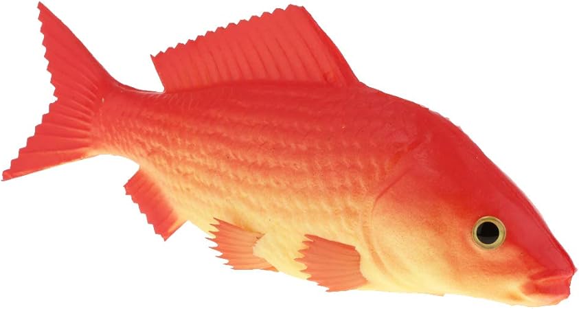 Amazon 魚モデル鯉現実的 魚 模型 子供 おもちゃ 台所 装飾 小道具 2種選べる 2 食べ物 おもちゃ