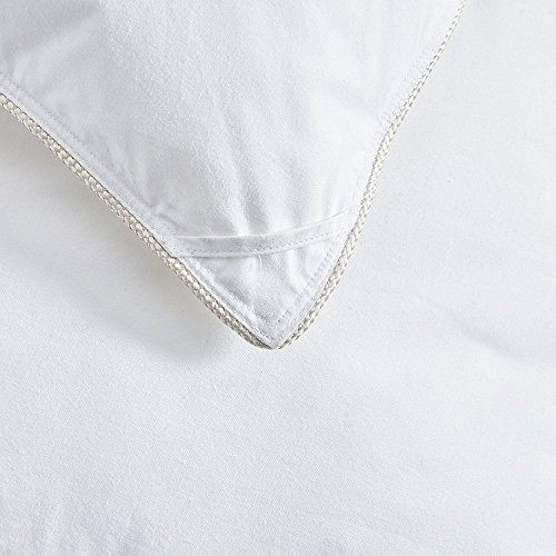 Egyptian Bedding All-Season Queen Size Luxury Siberian Goose Down Comforter Duvet Insert 750FP 1200 Thread Count 100% Egyptian Cotton (Queen, White Solid)