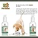 Glucosamine Chondroitin Liquid Joint Supplement For Dogs By Pet Diesel | Vegetarian MSM Hyaluronic Acid Vitamin Complex For Small Or Large Dogs | Canine Arthritis Pain Relief, Hip & Joint Protection