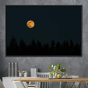 signwin Framed Canvas Wall Art Lunar Aerial Astronomy...