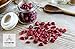 Naturevibe Botanicals Dried Cranberries (Sweetened), 1lbs | Natural and Healthy Snack | Dried Fruit (16 ounces)