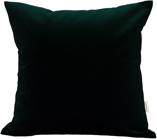 TangDepot Solid Velvet Throw Pillow 